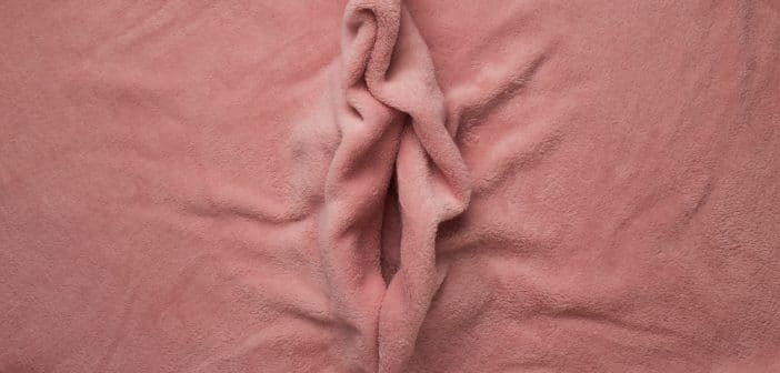 Vulvodynie : les enjeux de la première consultation - Réalités ...