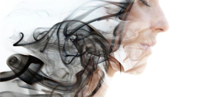 Actualités sur les Morphées