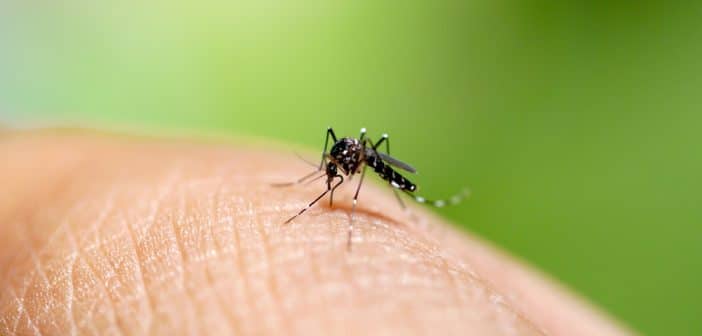 Une marée rouge au retour des Antilles