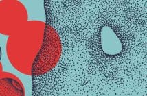 Quels traitements à venir dans le psoriasis ?