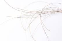 Pelade : cibler la voie JAK-STAT