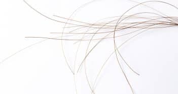 Pelade : cibler la voie JAK-STAT