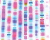 Biologie moléculaire et génodermatoses : quoi, quand, comment ?