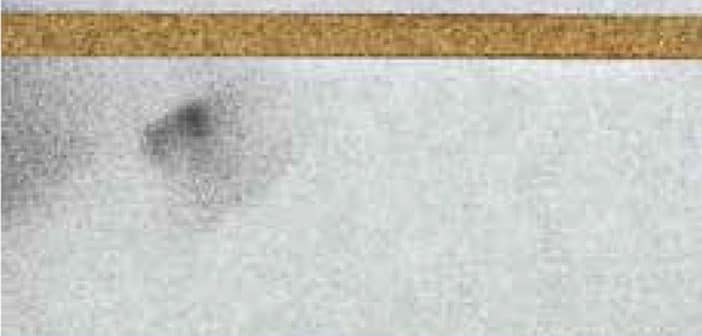 Édito