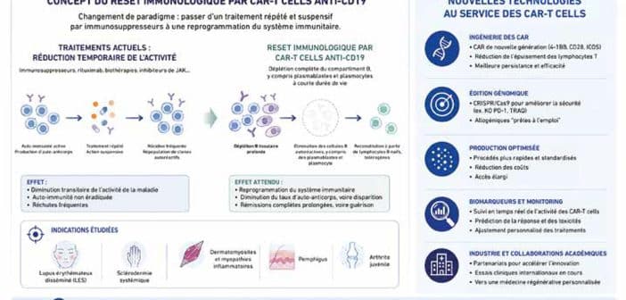 accessibles, plus ciblés et potentiellement curatifs. Perspectives d’utilisation des CAR-T